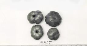 Click for 1 image(s) for this accession. FRUIT